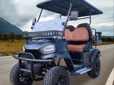 Factory Custom Electric Lifted Golf Cart with Battery