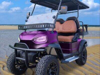 Electric Golf Buggies Manufacturer from China