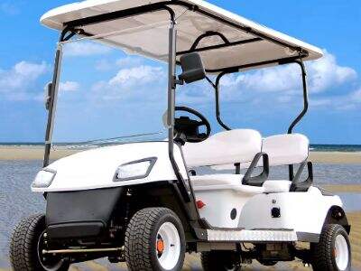 Who is the World's Largest Manufacturer of Golf Carts?