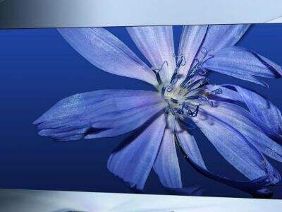 Projector Screen Manufacturers Guide to Solving Speckle