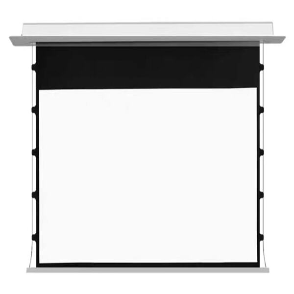 Create the Ultimate Entertainment Room with Recessed Ceiling Projector Screens".