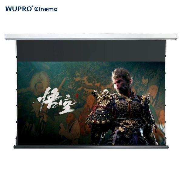 Maximize your viewing area with a motorised projector screen that retracts neatly when not in use