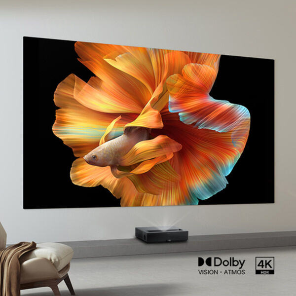 Create a Home Theater with 110 inch Projection Screen