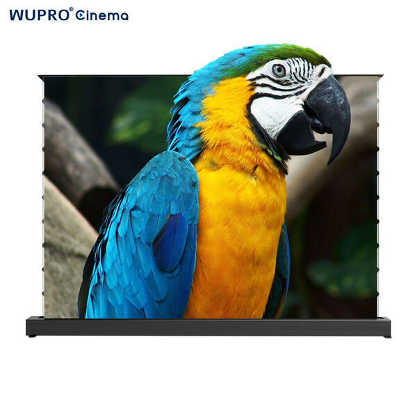 Innovative Technology for Exceptional Picture Quality - ALR Floor Rising Projector Screen
