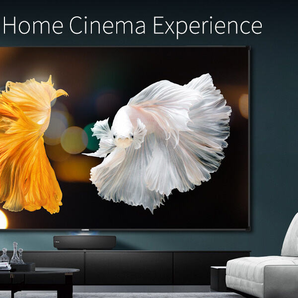Wall Mounted Projector Screens