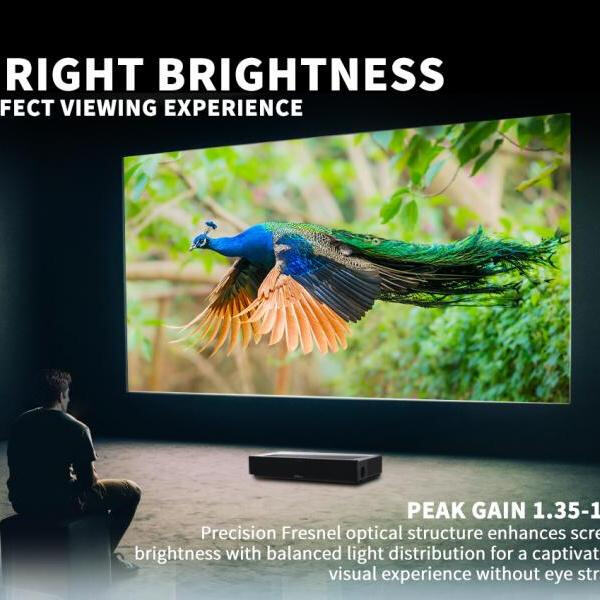 Product Screen VIVOHOME 100 Inch Electric Motorized Projector(Screen)