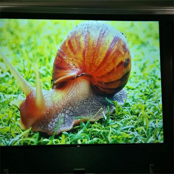 Experience Crisp and Vibrant Images with Ultra Short Throw Screens