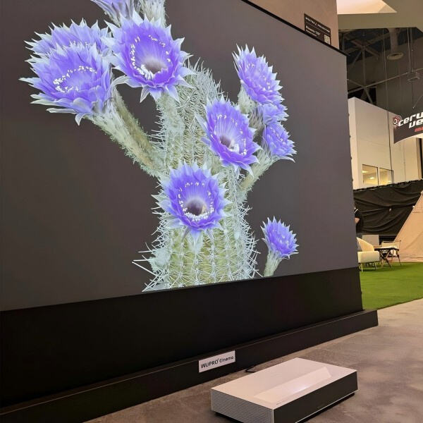 Immersive 3D Projection Screens