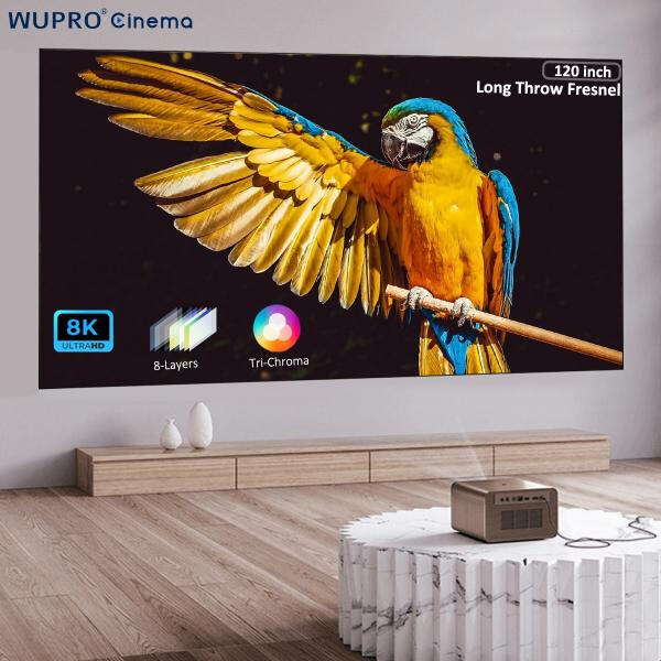 Laser Projector Screen is the Solution