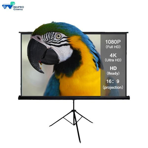 Enhance Your Viewing Pleasure with a Screen and Tripod Se
