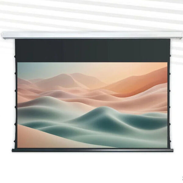 Whether for home theater or office presentations, a ceiling-mounted projector screen is a versatile solution for any space.
