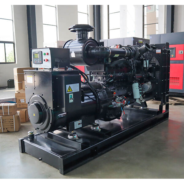 Innovation in Professional Generators