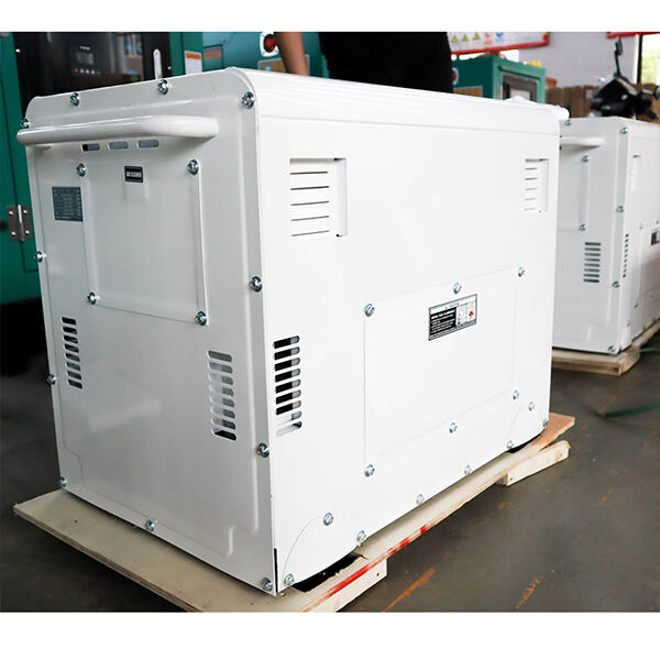 Attributes of Small Dual Fuel Generators: