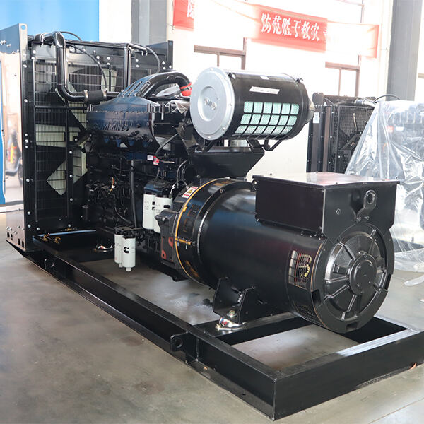 Service and Quality for this Emergency Industrial Generator