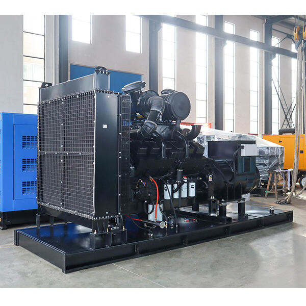 Safety of Diesel Generator Backup Power