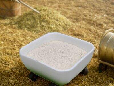 How to Apply Liquid Fertilizer Correctly for Maximum Crop Yield