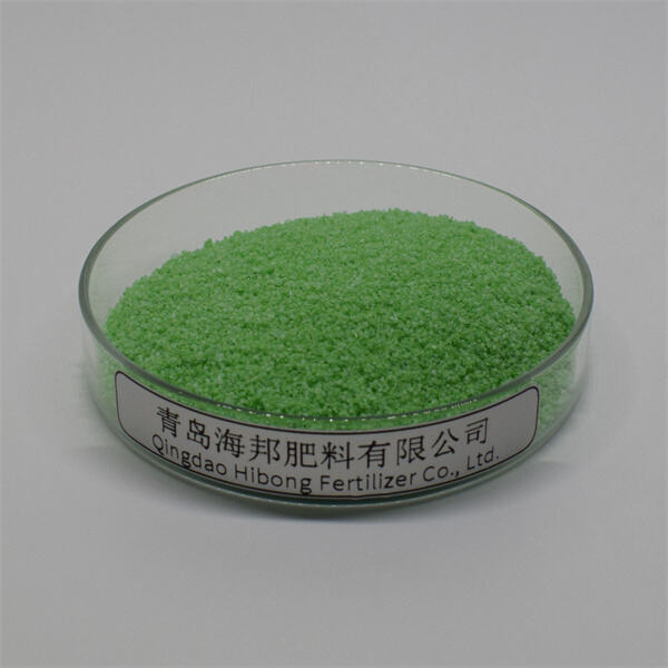 Tips for Using Organic Water Soluble Fertilizer in Your Garden