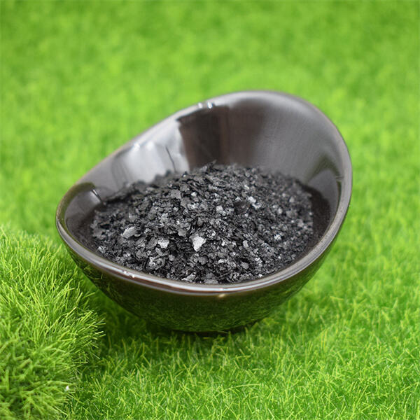 Exploring the Nutritional Value of Seaweed Extract in Dietary Supplements
