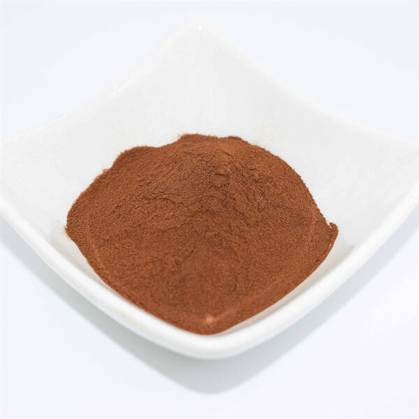 The many ways Fulvic Acid Powder can support gut health and improve digestion.