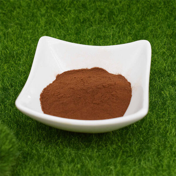 Discover the anti-inflammatory properties of Fulvic Acid Powder for pain relief and immune support.