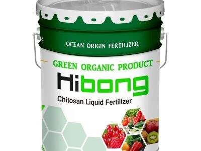 Bimbu ya Maji Kupatwa kuhusu Bimbu ya Mafuta: Ni Gani Bora Zaidi Kwa Shambani Lako?