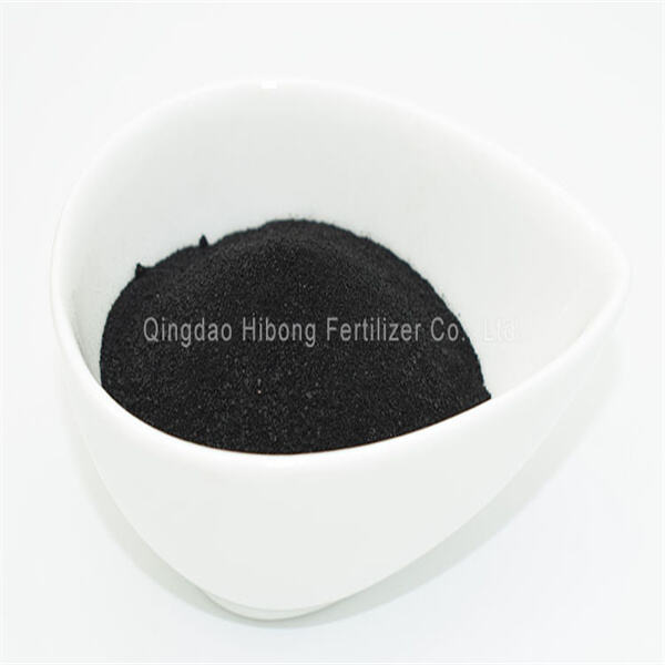 Organic Seaweed Fertiliser for Sustainable Gardening