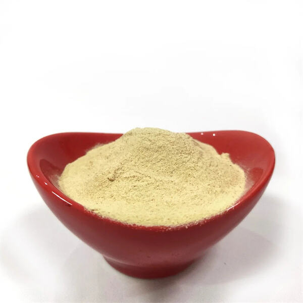Enhance your diet with fish protein powder for improved energy and stamina.