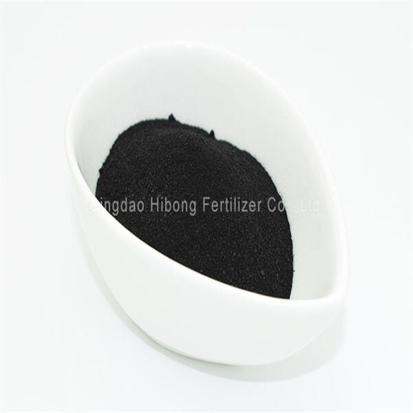 Boost Growth and Improve Soil Health with Organic Seaweed Fertiliser