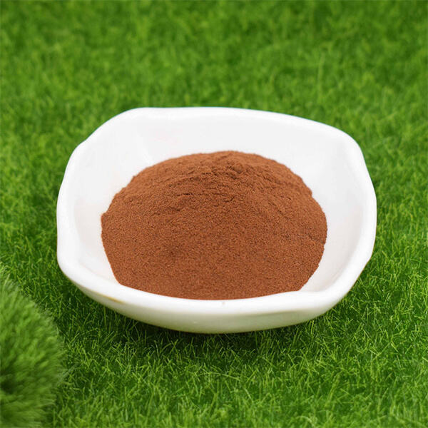 Unlocking the potential of Fulvic Acid Powder as a natural energy booster and cognitive enhancer.