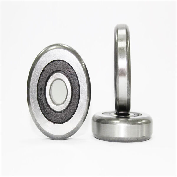 Examining the Anatomy of 6307 Bearing
