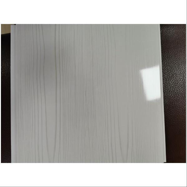 Beneficiați de o instalare ușoară și întreținere minimă grație panourilor noastre de înaltă calitate pentru pereții cabinei de duș, din plastic.
