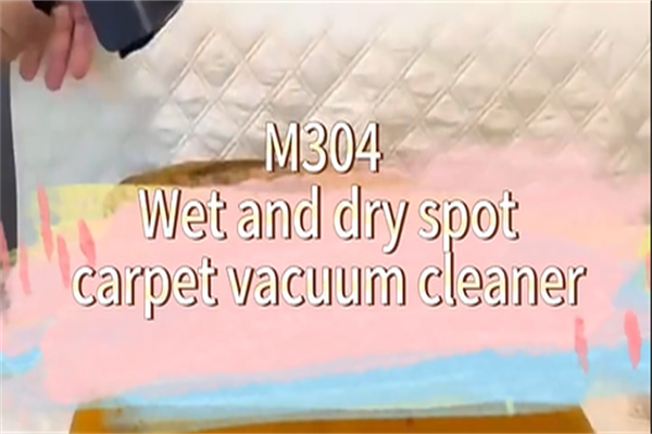 Home Use Carpet Sofa Cleaner Portable Wet Car Care Spot Stain Vacuum