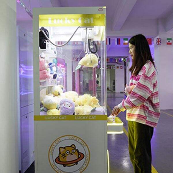 Security Precautions for The Stuffed Animal Claw Machine