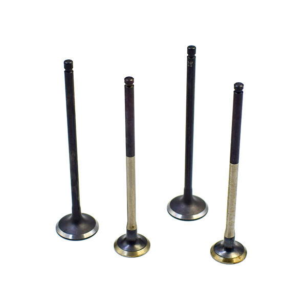 Stay Ahead of the Competition by Choosing Our Superior Intake Valve Car Products