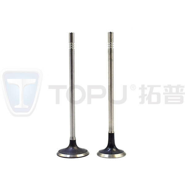 خدمة عملاء متخصصة لمساعدتك في تلبية احتياجاتك من صمامات محركات الديزل