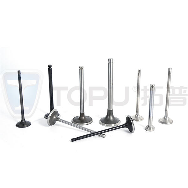 مجموعة واسعة من المكابس الخاصة بالمحرك لتلبية جميع احتياجات الجملة