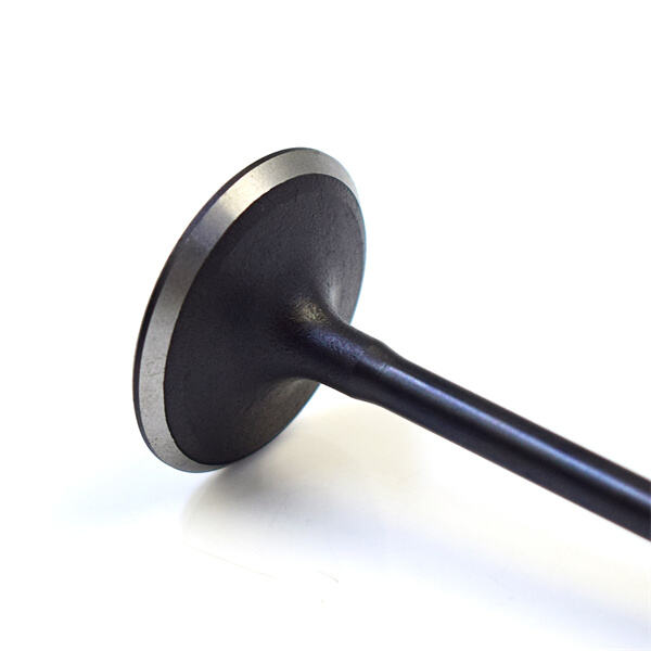 Why it is important to invest in a quality intake valve at the right price