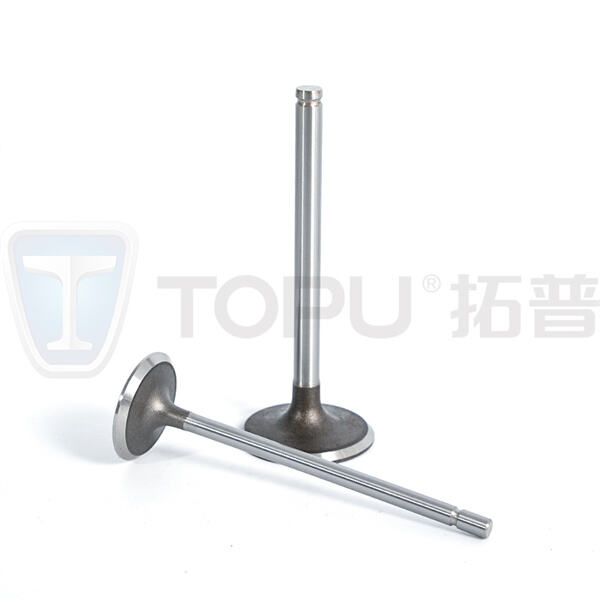 استمتع بمتانة تدوم طويلاً مع منتجات الصمام الموثوقة