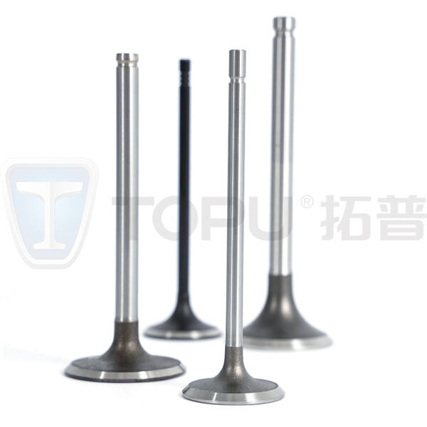 Optimize your engine's performance with expertly crafted intake and exhaust valves