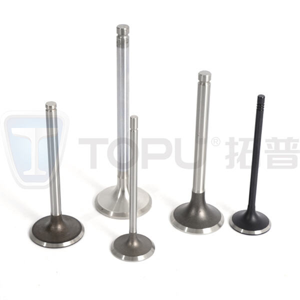 Get Smooth and Reliable Engine Operation with Our Top-Notch Exhaust and Intake Valves