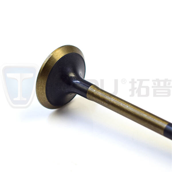 عزز قوة مركبتك مع صمامات العادم الموثوقة الخاصة بنا