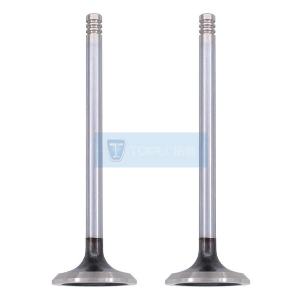 صمامات سحب n54 مهندسة بدقة لتحقيق تدفق هواء مثالي