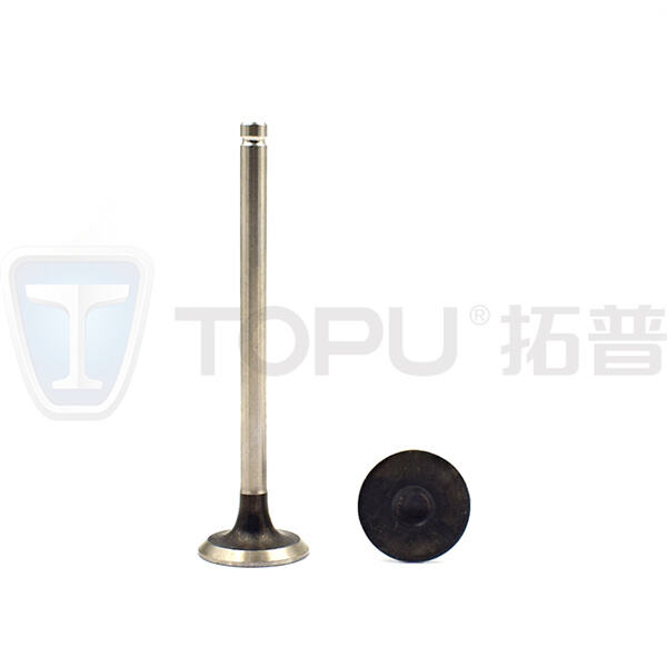 عزز كفاءة استهلاك الوقود وقلل الانبعاثات باستخدام صمامات سحب عالية الجودة