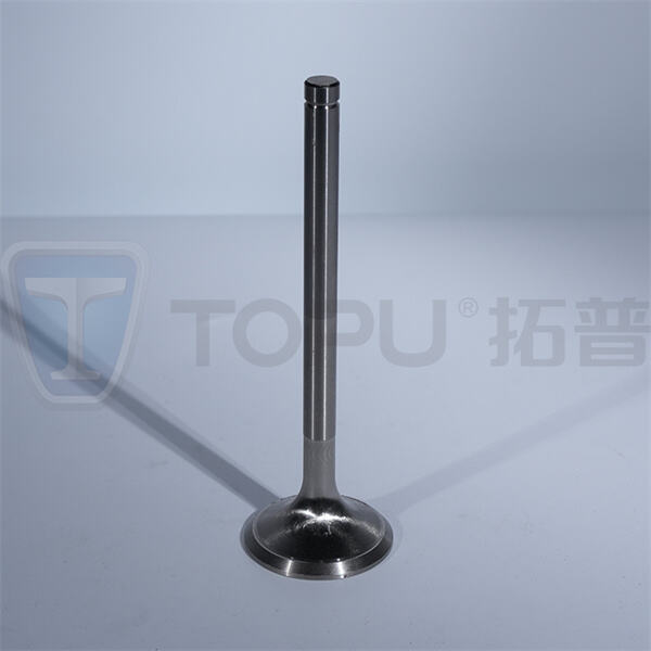 مجموعة واسعة من الأحجام والأساليب لتلبية جميع احتياجاتك