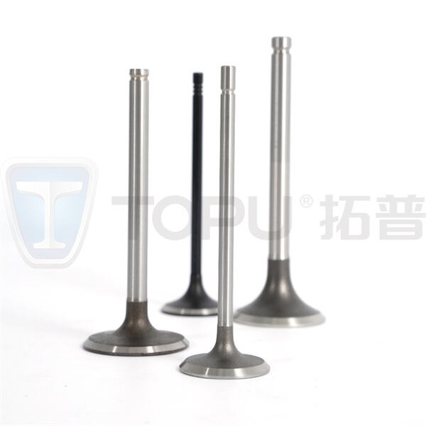 Experience smoother operation and reduced emissions with our top-notch intake and exhaust valves