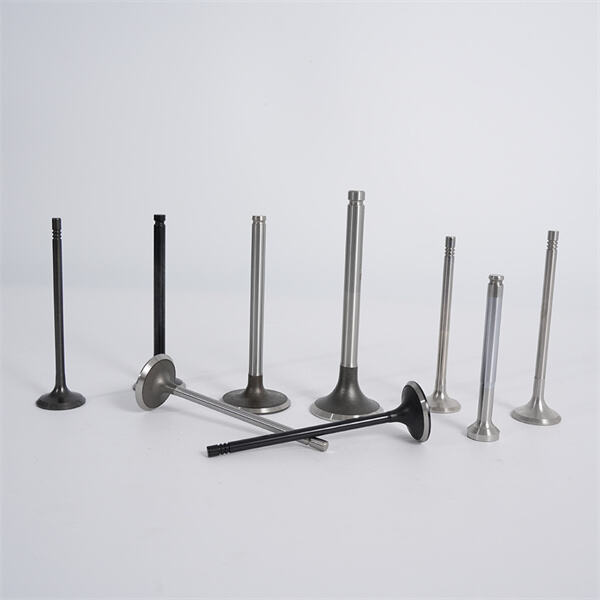 تحسين الكفاءة من خلال حلول صمام العادم الخاصة بنا