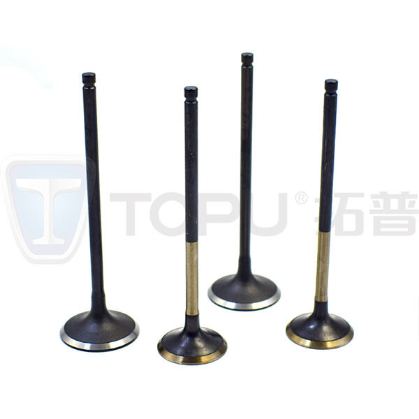 Types of engine valves and their functions