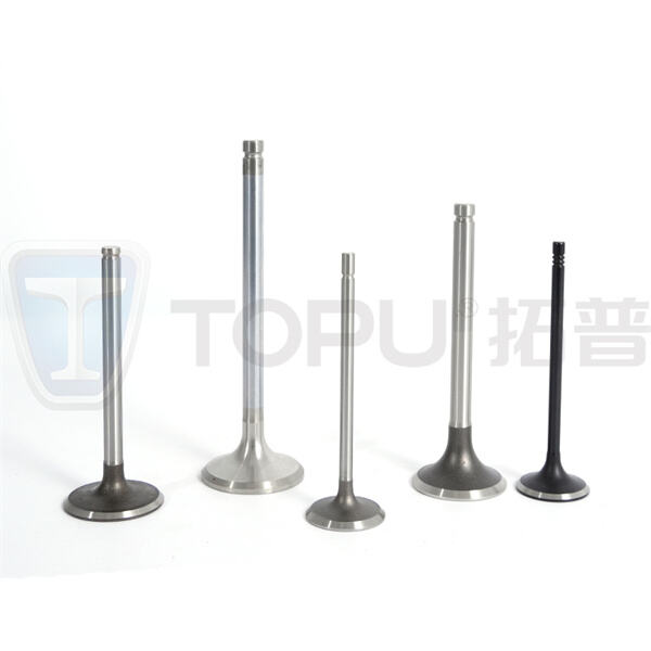 Enhance your engine's durability and reliability with our premium intake and exhaust valves