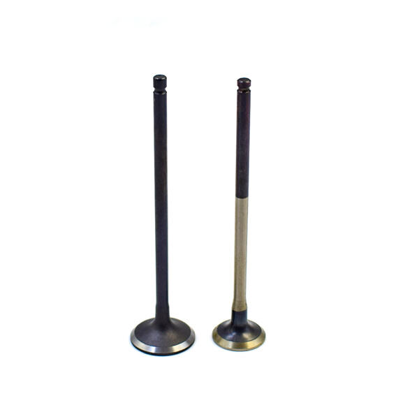 Experience Smooth and Reliable Engine Operation with Our Durable Intake Valve Car Varieties