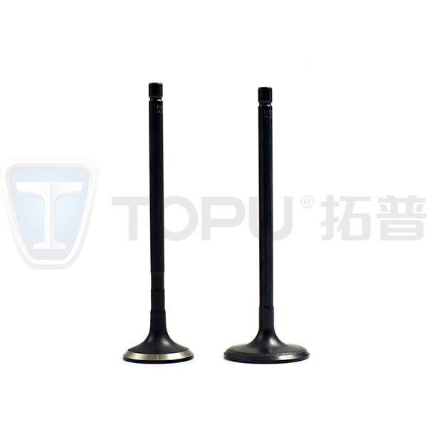 عزز أداء محرك دراجتك النارية باستخدام صماماتنا المتميزة